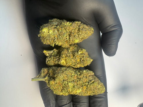 GELATO - CALIWEED (SUPER PUISSANT)