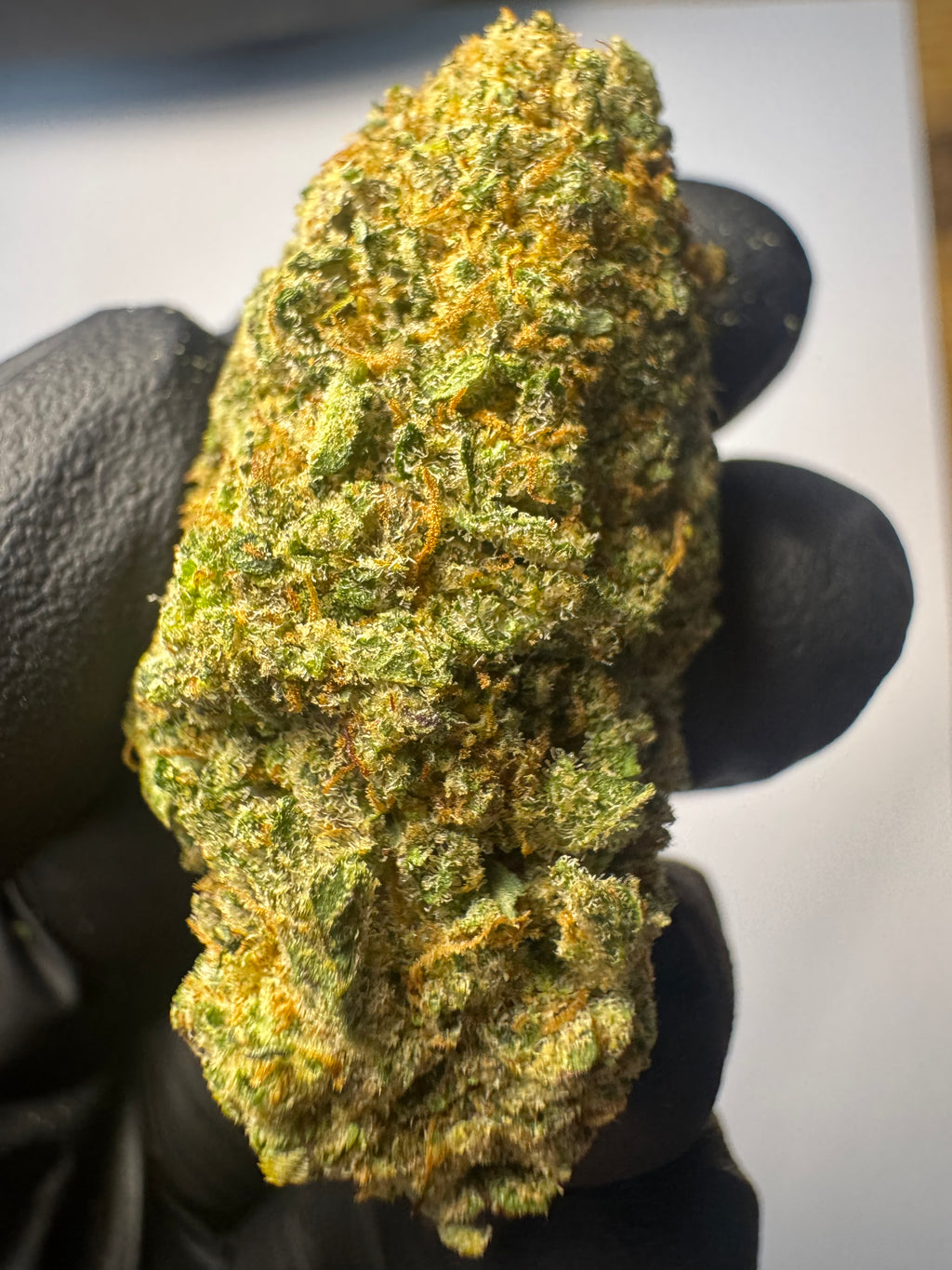 GORILLA FIGHTER - CALIWEED USA 50% MAGIC SAUCE (SURPUISSANT)